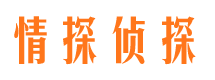 南川婚外情调查取证